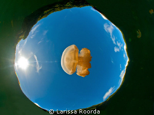 Jelly in Space. 
I wanted to see what this pic looked li... by Larissa Roorda 